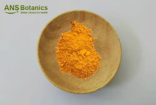 Curcumin is a pigment extracted from the ginger family plant turmeric, and it is also present in  other ginger plants. Modern studies have found that curcumin can inhibit inflammation, anti-oxidation, and anti- rheumatoid effects.